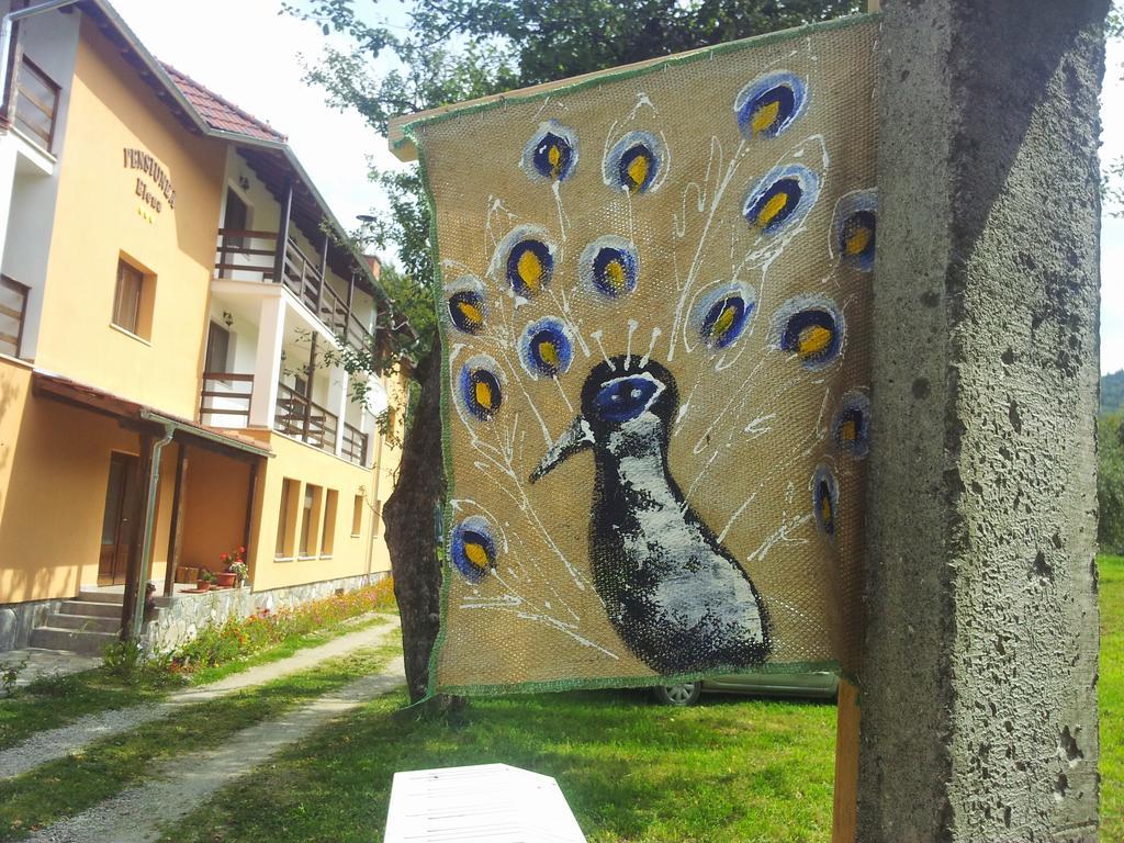 Pensiunea Elena Vistisoara Rum bild