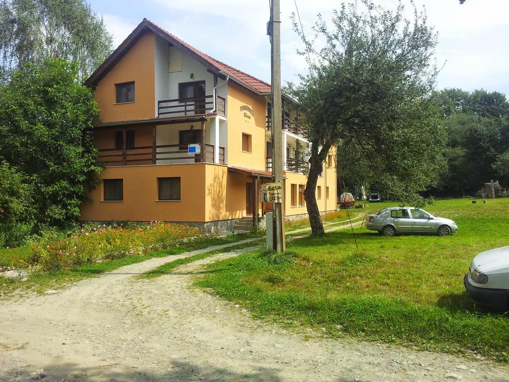 Pensiunea Elena Vistisoara Rum bild