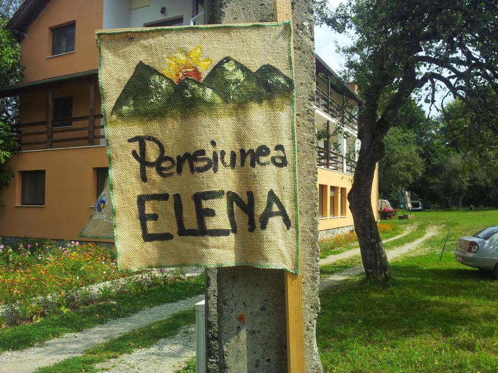 Pensiunea Elena Vistisoara Rum bild