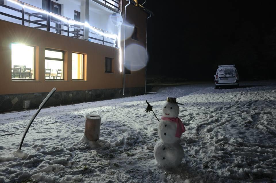 Pensiunea Elena Vistisoara Exteriör bild